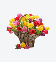Afbeelding in Gallery-weergave laden, florem ipsum dolor sit